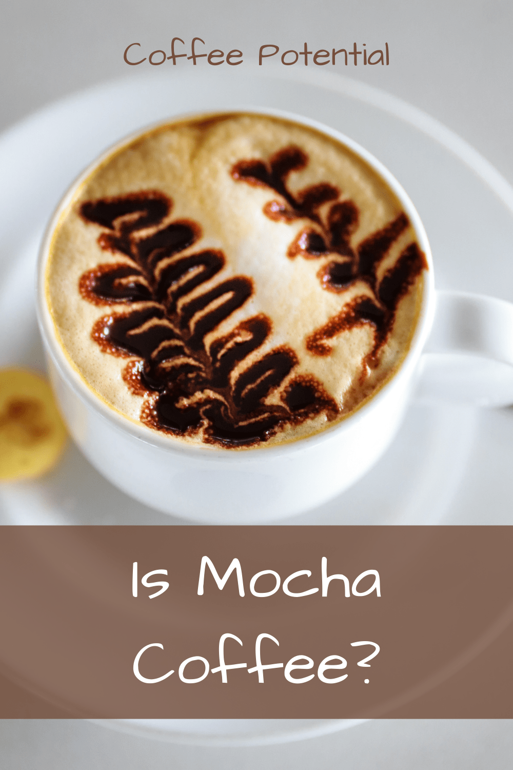 is-mocha-coffee-simple-guide-homemade-recipe