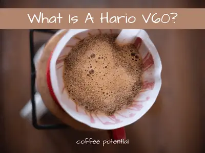 what is a hario v60